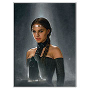Star Wars Amidala Knight Has Fallen Canvas Giclee Print